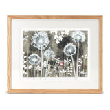 Alliums By Night, Print