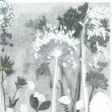 Alliums with a hint of Green