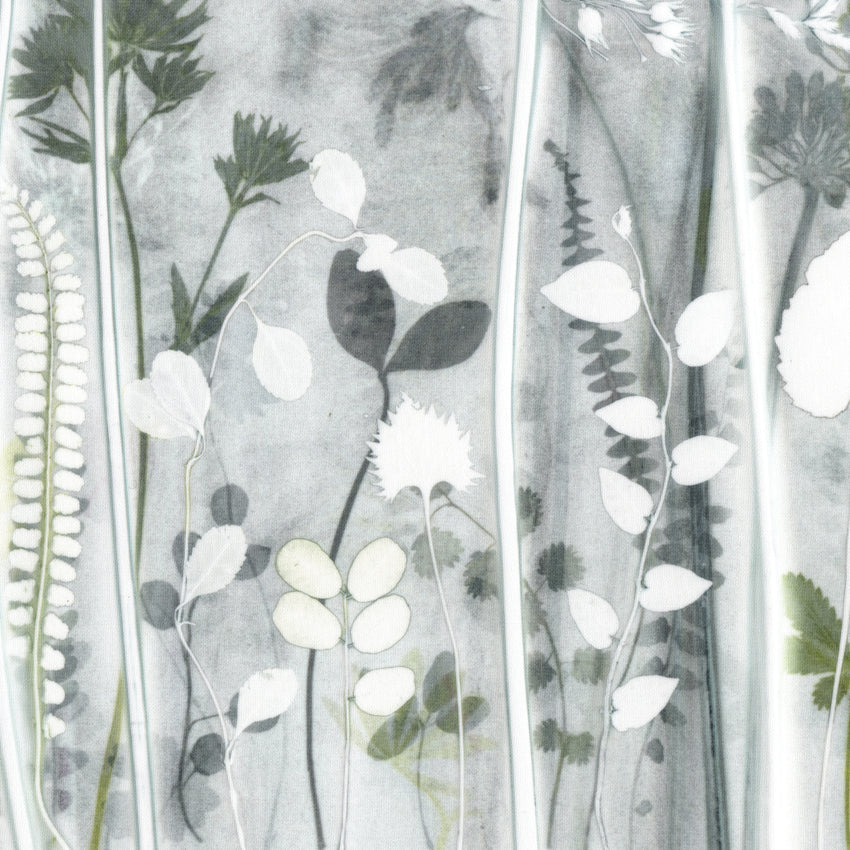 Alliums with a hint of Green