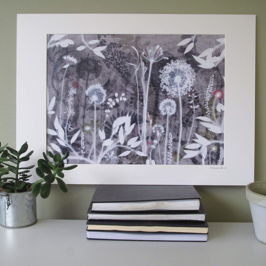 Alliums and Cranesbill