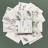 Leaves Card Bundle
