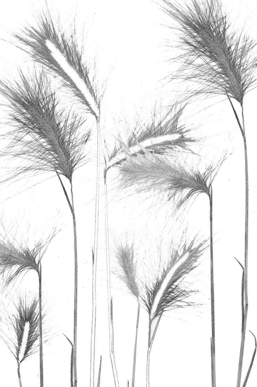 Leaves Card Bundle