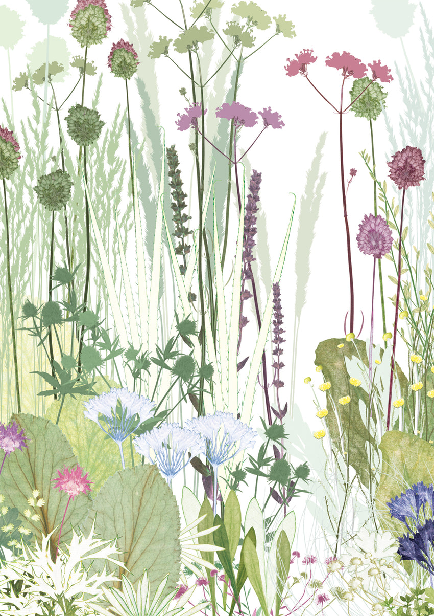 Beth's Garden Card