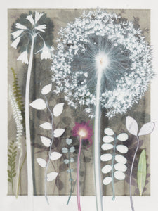 Big Allium