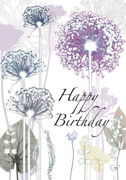 Birthday Card