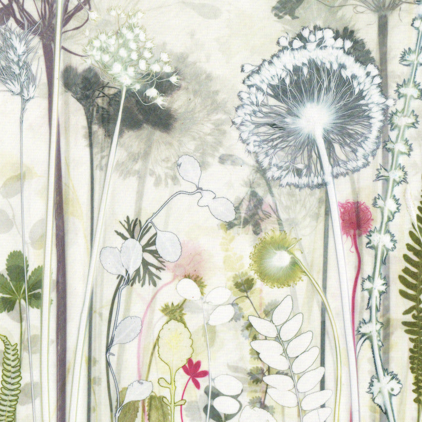 Blazing Allium