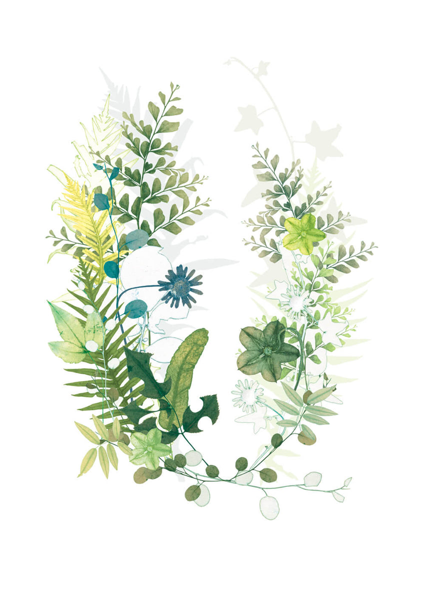 Blewcoat Ferns