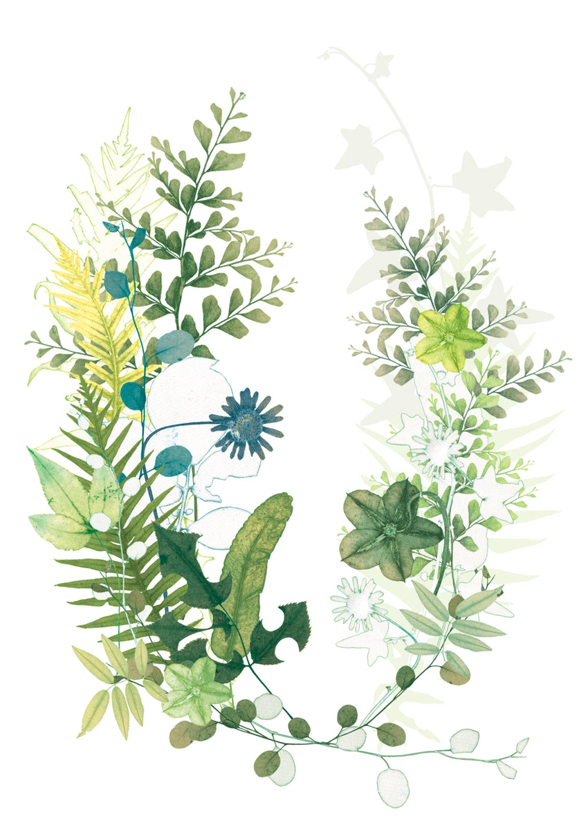 Blewcoat Ferns Card