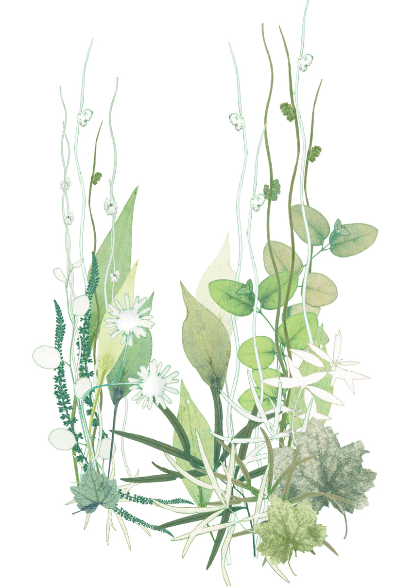 Blewcoat Marsh Card