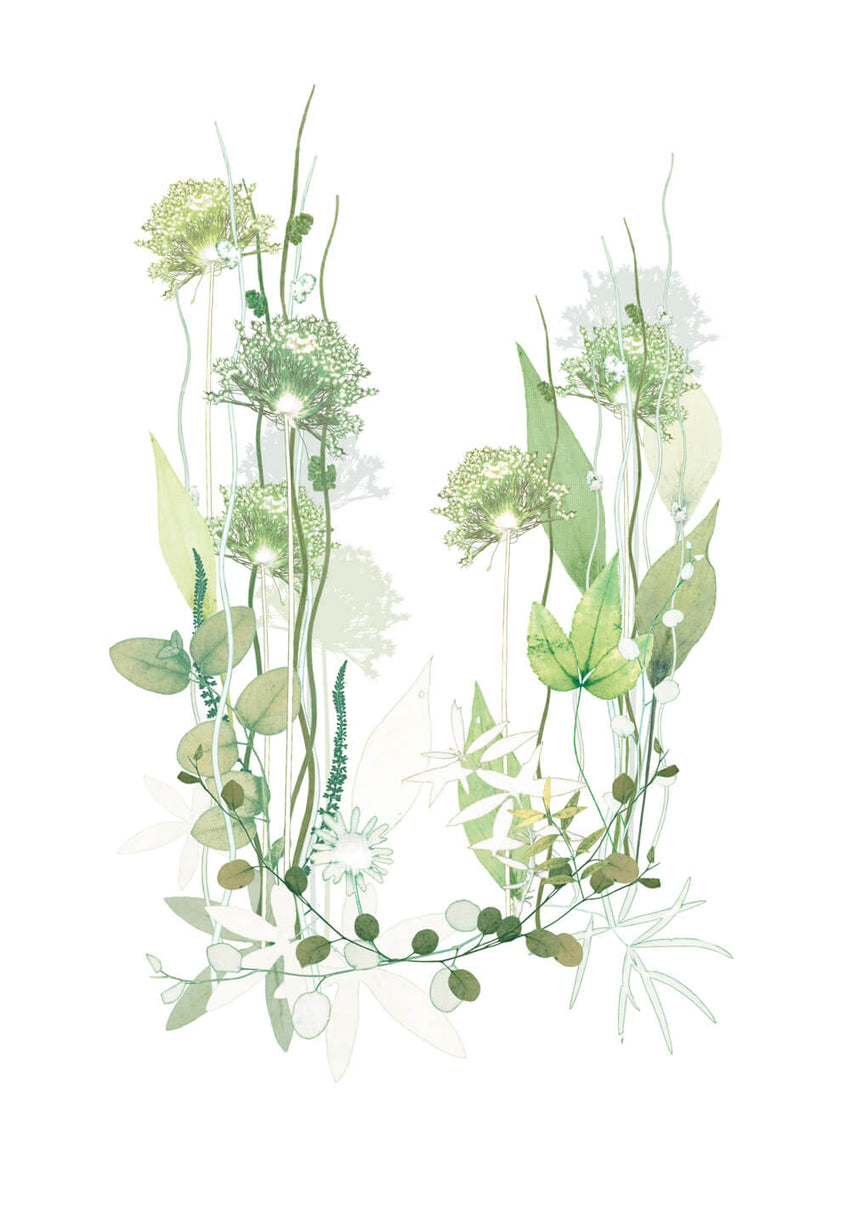 Blewcoat Onions Print