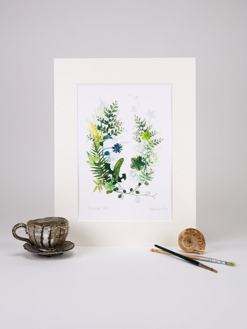 Blewcoat Ferns