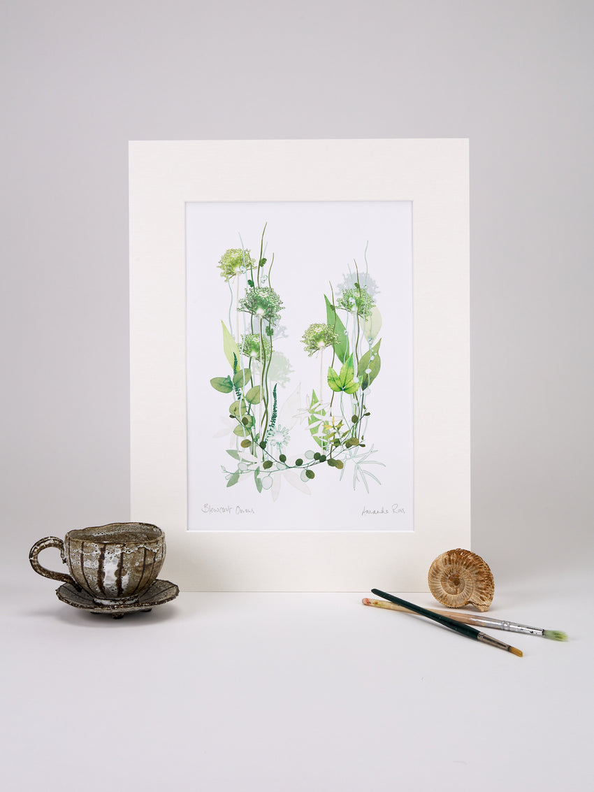 Blewcoat Onions Print
