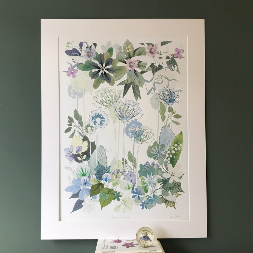 Blossom Window Mounted Print