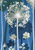 Blue Allium 'Post it On' Card