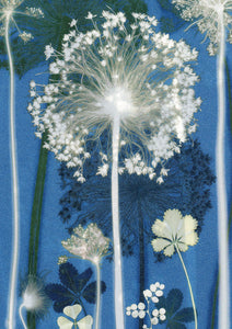Blue Allium Card