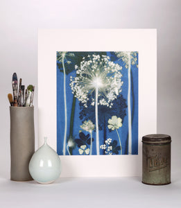 Blue Allium