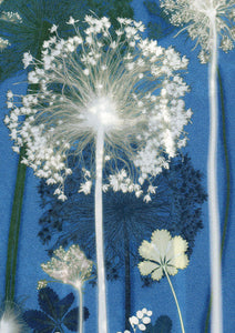 Blue Allium Card