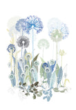 Agapanthus Thicket large print