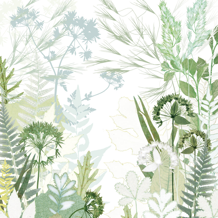 Bridle Path Print