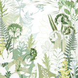 Bridle Path Print