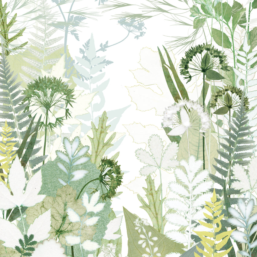 Bridle Path Print