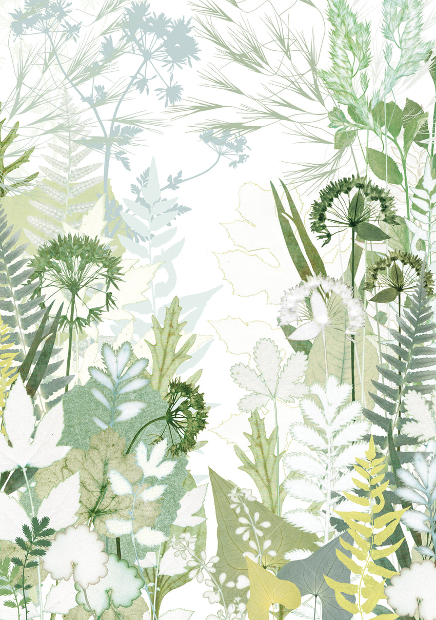 Bridle Path Greetings Card