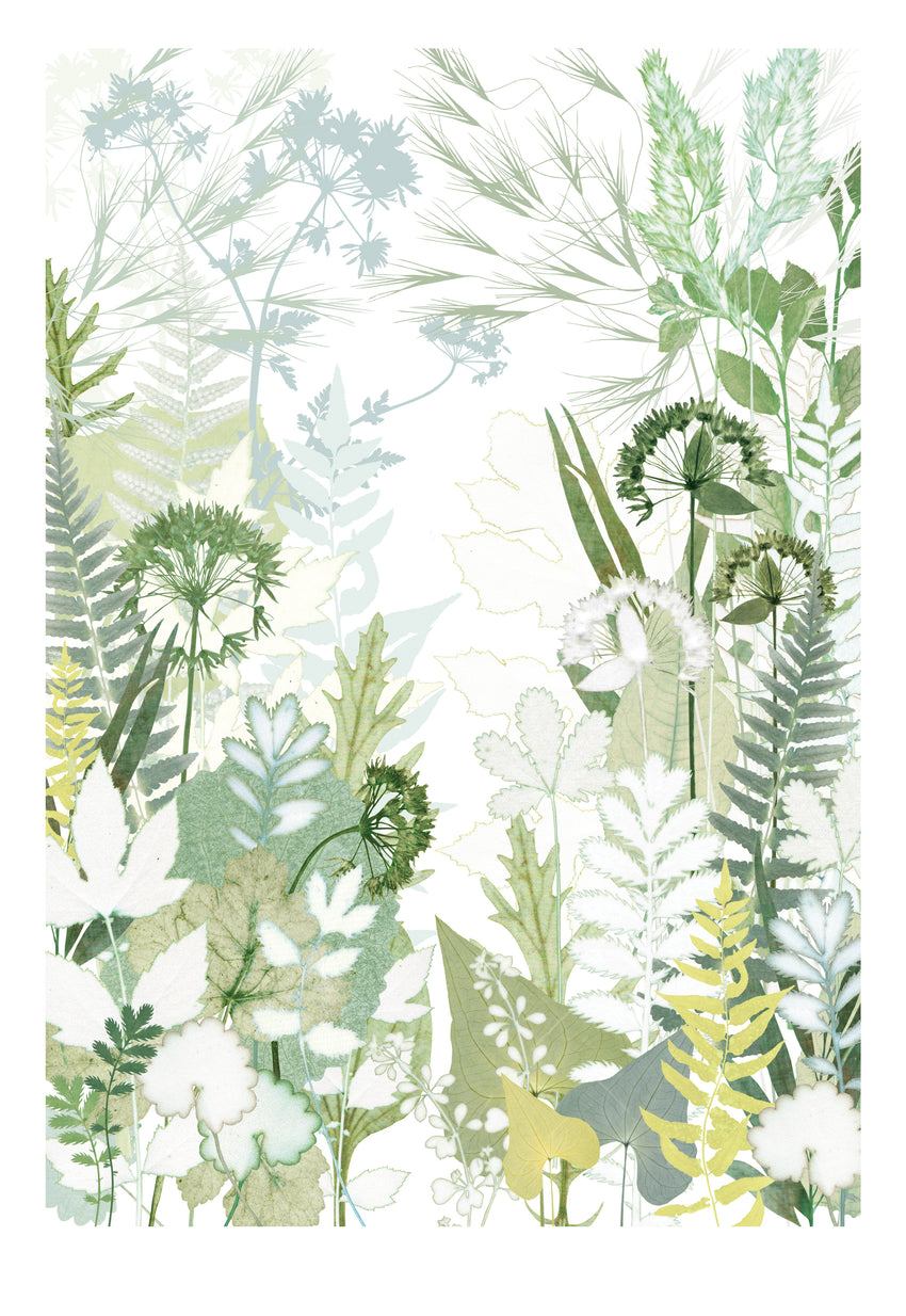 Bridle Path Print