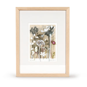 Bright Seedhead