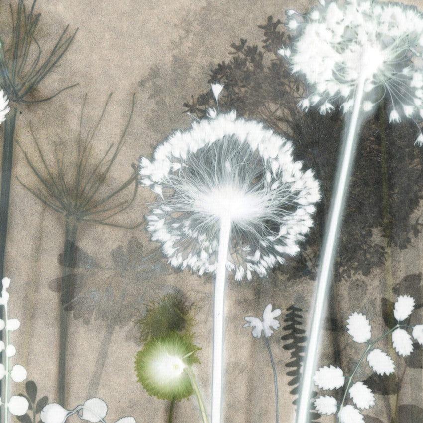 Burnished Allium and Clover