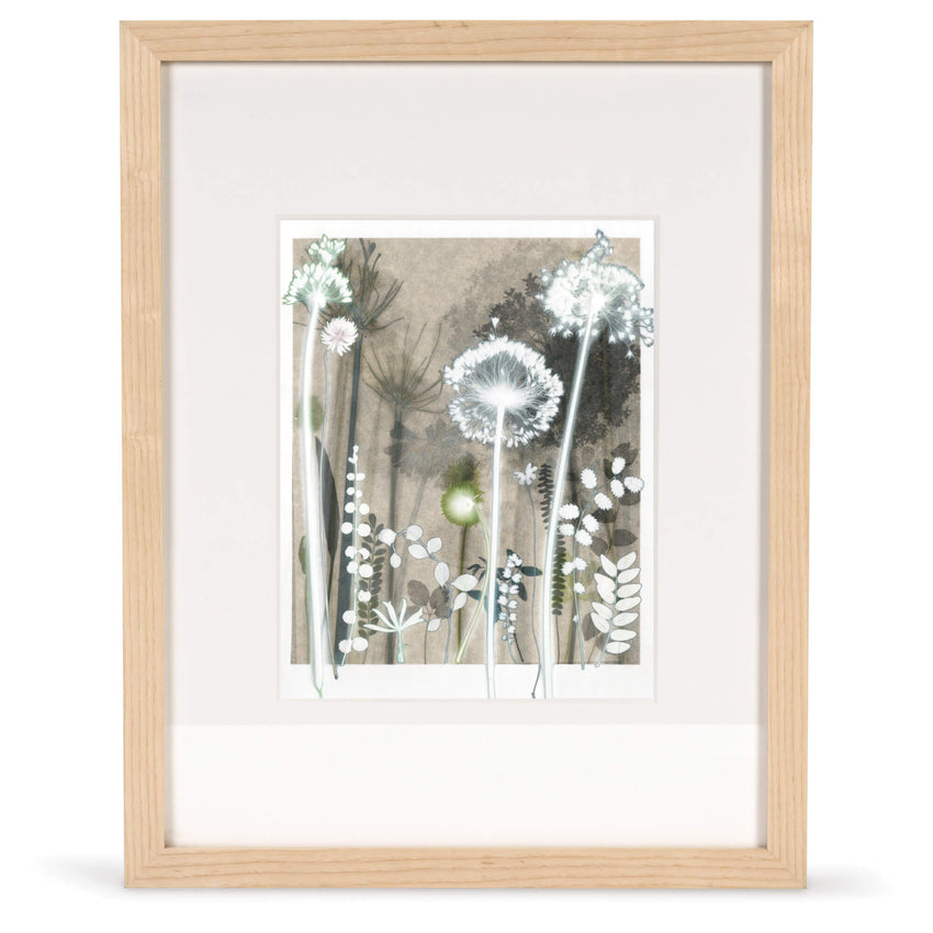 Burnished Allium and Clover