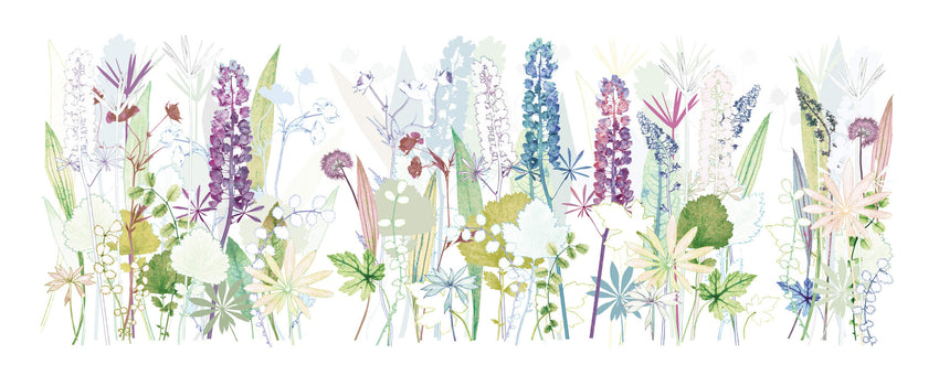 Chelsea Lupins 2015 Print