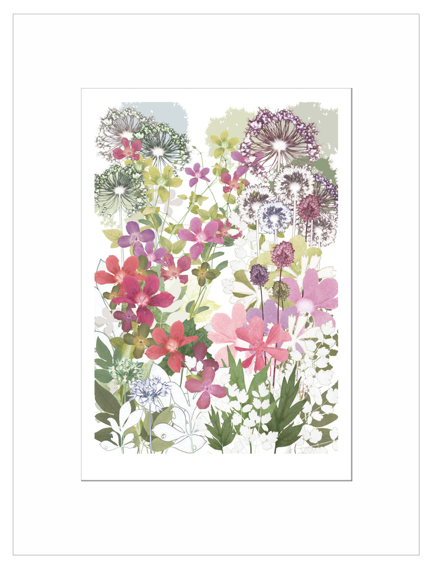 Clematis Print