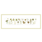 The Garden Collection