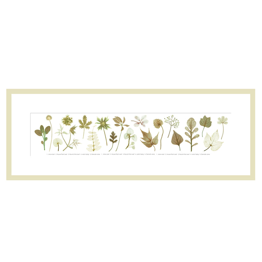 The Garden Collection