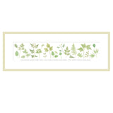 The Garden Collection