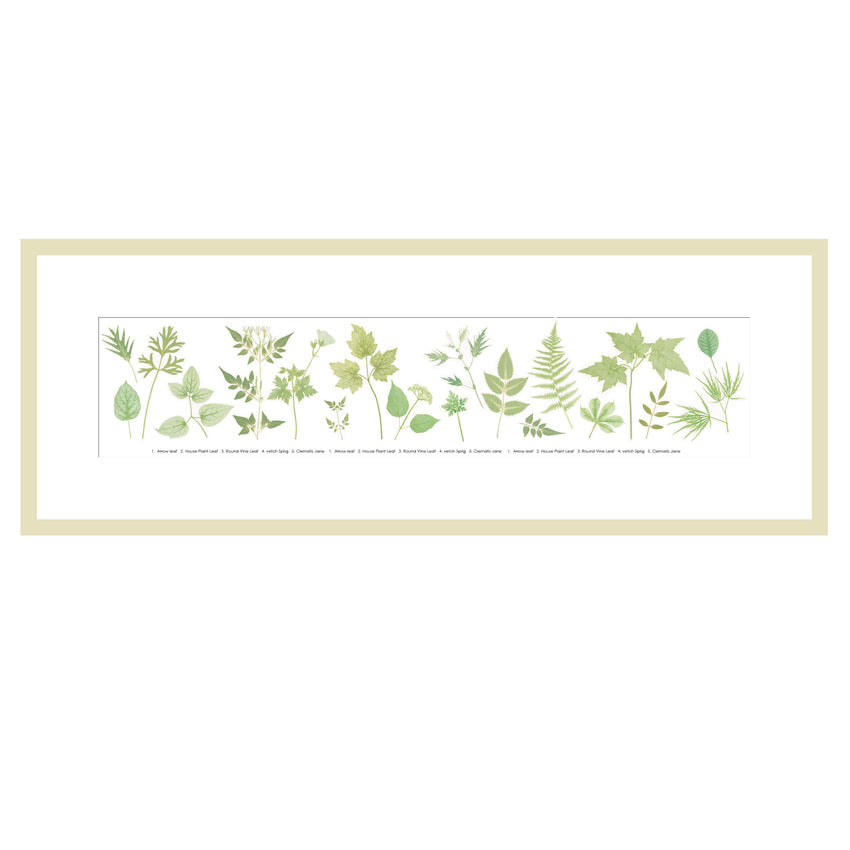 The Garden Collection