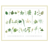 The Complete Garden