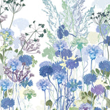 Cornflowers Print