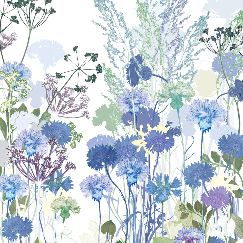 Cornflowers Print