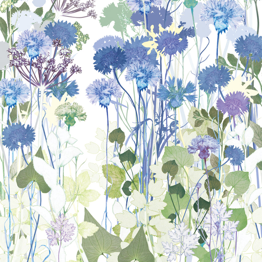 Cornflowers Print
