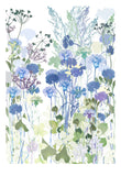 Cornflowers Print