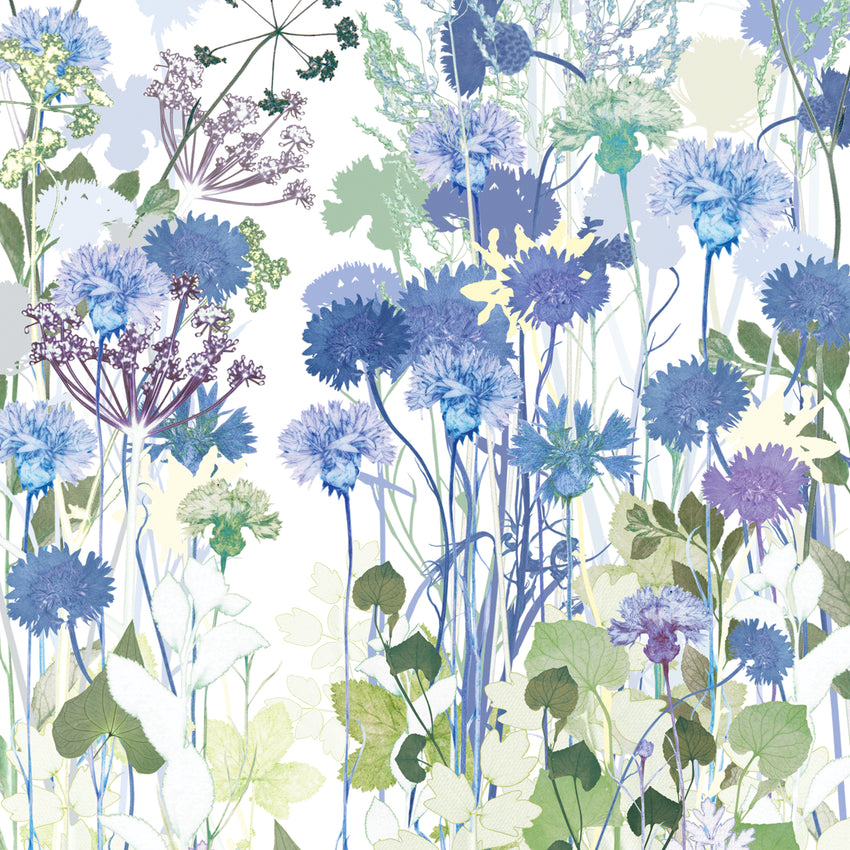Cornflowers Print