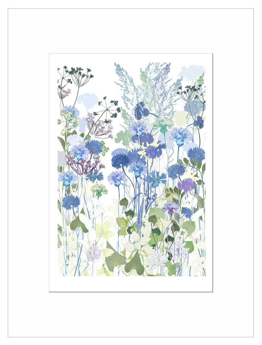 Cornflowers Print