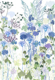 Cornflowers Print