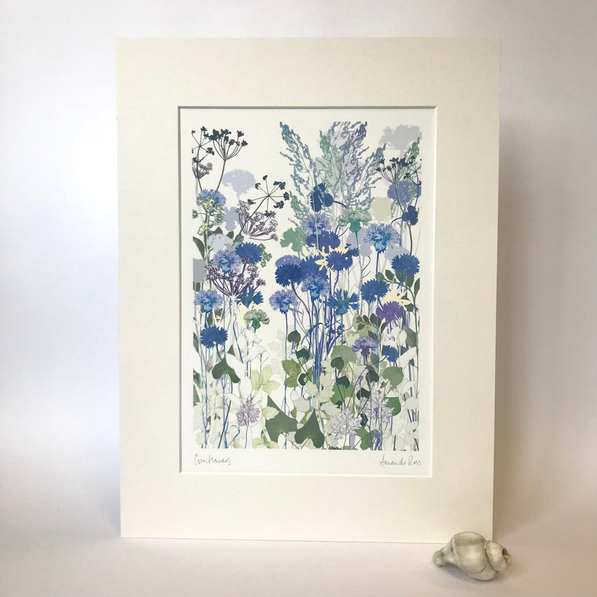 Cornflowers Print