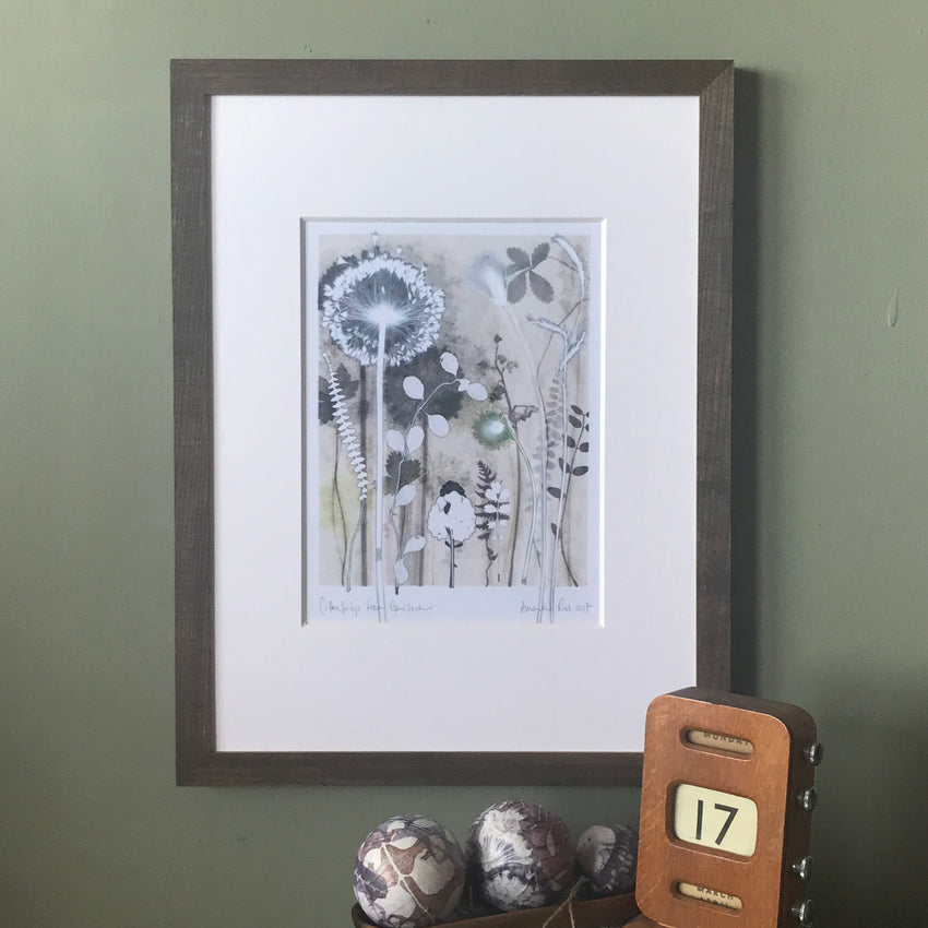 Cottonsedge from Gairloch, 30 x 40