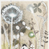 Cottonsedge from Gairloch, 30 x 40
