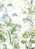 Country Lane Greetings Card