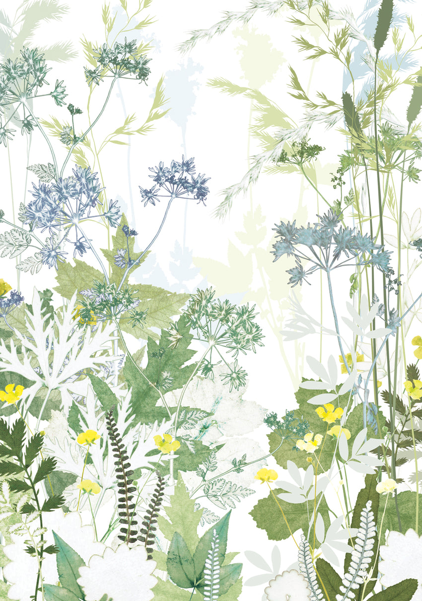 Country Lane Greetings Card