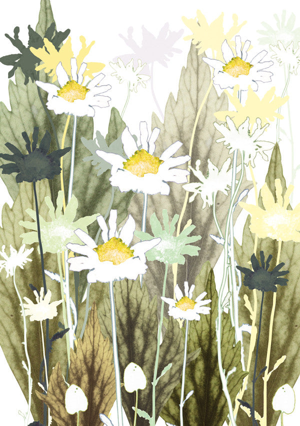 Daisy Card